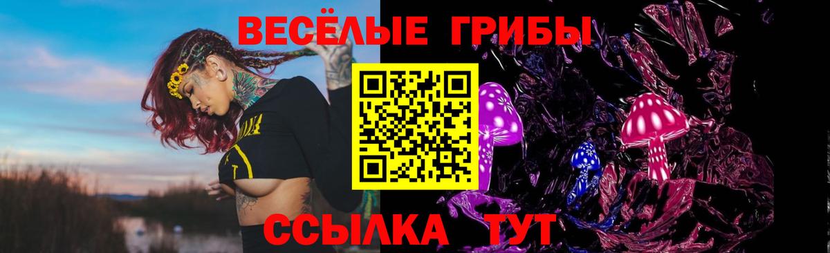 Псилоцибиновые грибы Psilocybine cubensis Котельники
